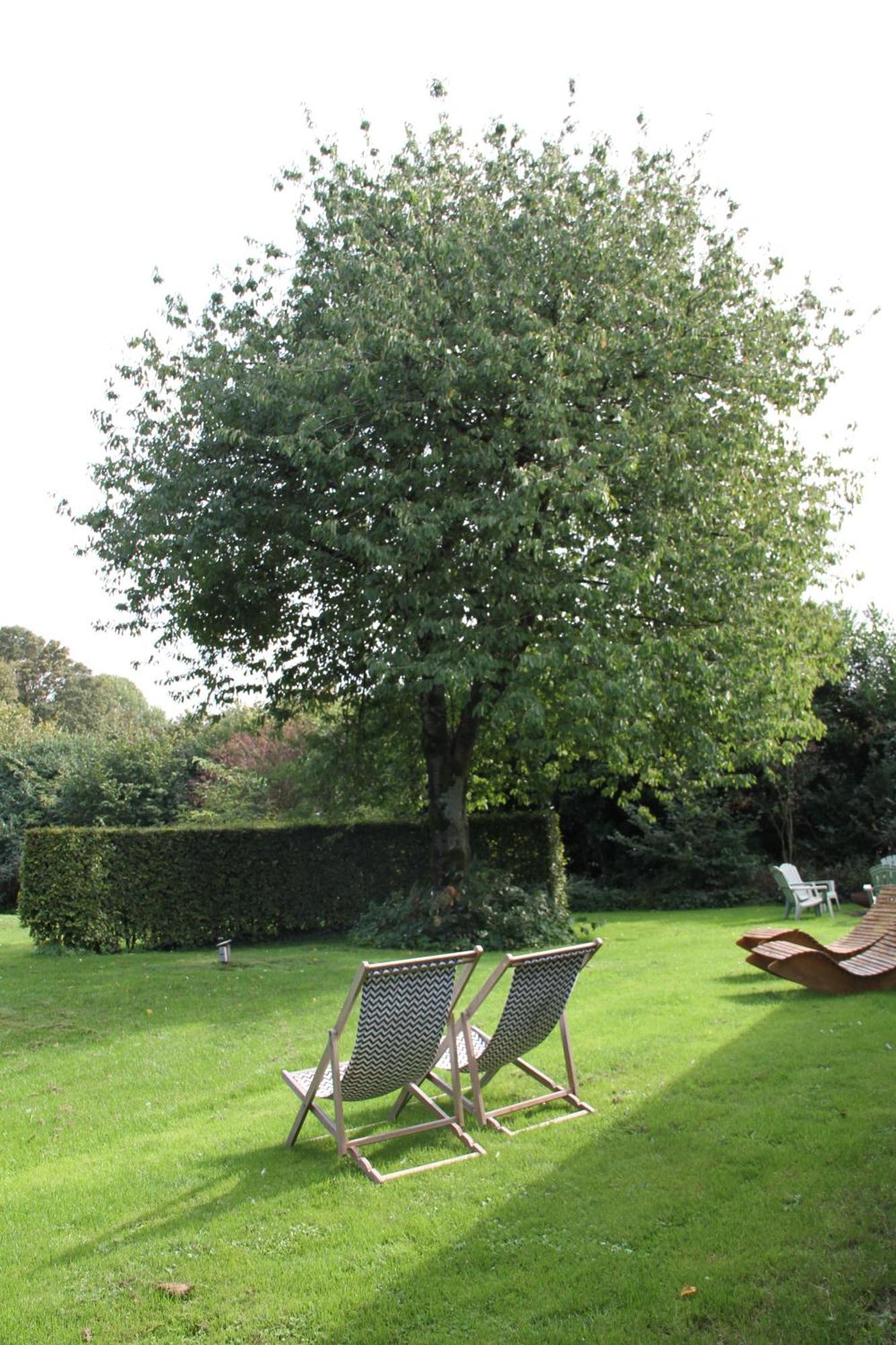 Vila Familiehuis De Betuwe Met Prive Kunstgras Tennisbaan En Sauna Erichem Exteriér fotografie